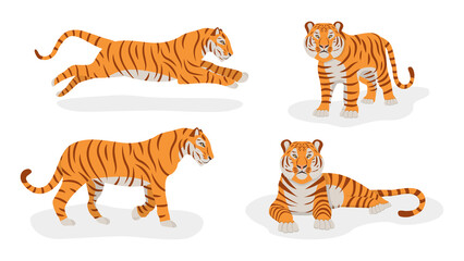Set of tigers isolated on a white background. Front and side views. Symbol of 2022. Chinese New Year. Vector. Cartoon style