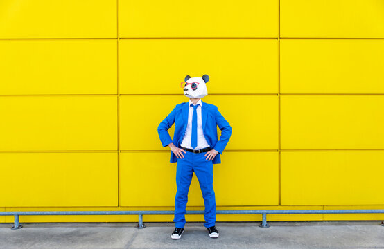 Man wearing vibrant blue suit and panda mask standing in front of yellow wall