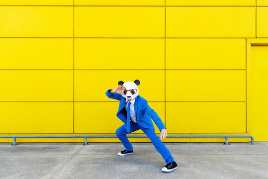 Man wearing vibrant blue suit and panda mask standing in fighting stance in front of yellow wall