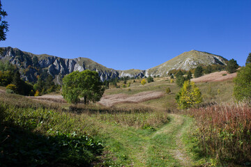 hiking trail to lake called Gornje Bare, with mountain view and autmun colours, Sutjeska National...