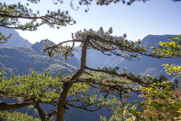 Hike to skakavac waterfall from view point, Sutjeska National park, Bosnia and Herzegovina, Europe 