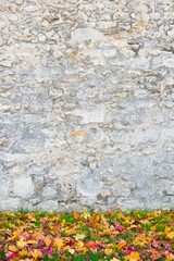 autumn leaves on the wall