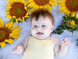 beautiful cute smiling white girl of five months lies in sunflowers