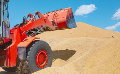 The excavator loads agricultural products with a large bucket for processing and drying in the agro manufacturing plant 