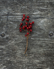 red currants on wooden background
