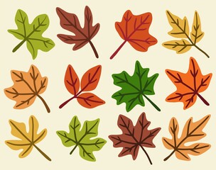 Fototapeta Collection of simplicity maple leaf freehand drawing flat design. obraz