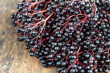 Elderberry fruits on a dark background