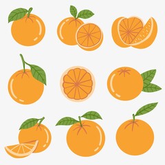 Doodle freehand sketch drawing of orange fruit.