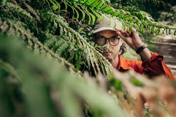 Young man wearing cap looking through Cyathea Dealbata fern in forest