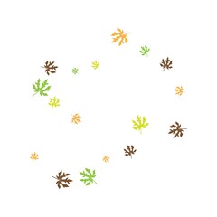 Summer Autumn Logo Template