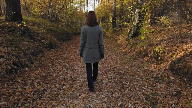 One woman walks on autumn foliage on pathway in forest. Rear view. Slow motion. The camera follows from behind
