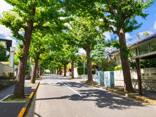 Obraz premium 東京 田園調布