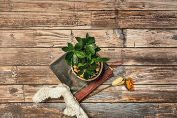 top view image of ficus on old book and greek winged victory with dried flowers on wooden table