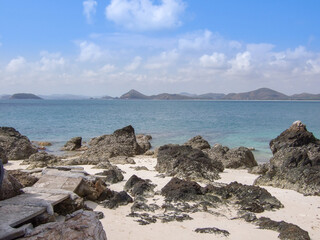 Pumice stone in seaboard islands of Thailand