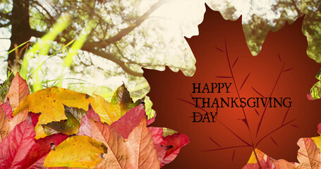 Happy thanksgiving day text over autumn maple leaf against sun shining through trees