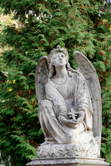 Fototapeta na wymiar Old tombstone with angel in Lychakiv cemetery in Lviv Ukraine