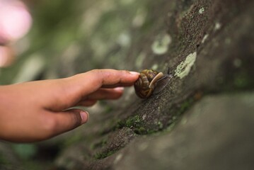 a child's touch