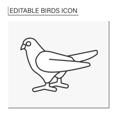 Dove line icon.Stocky bird with small head, short legs, and cooing voice. Symbol of peace.Birds concept. Isolated vector illustration. Editable stroke