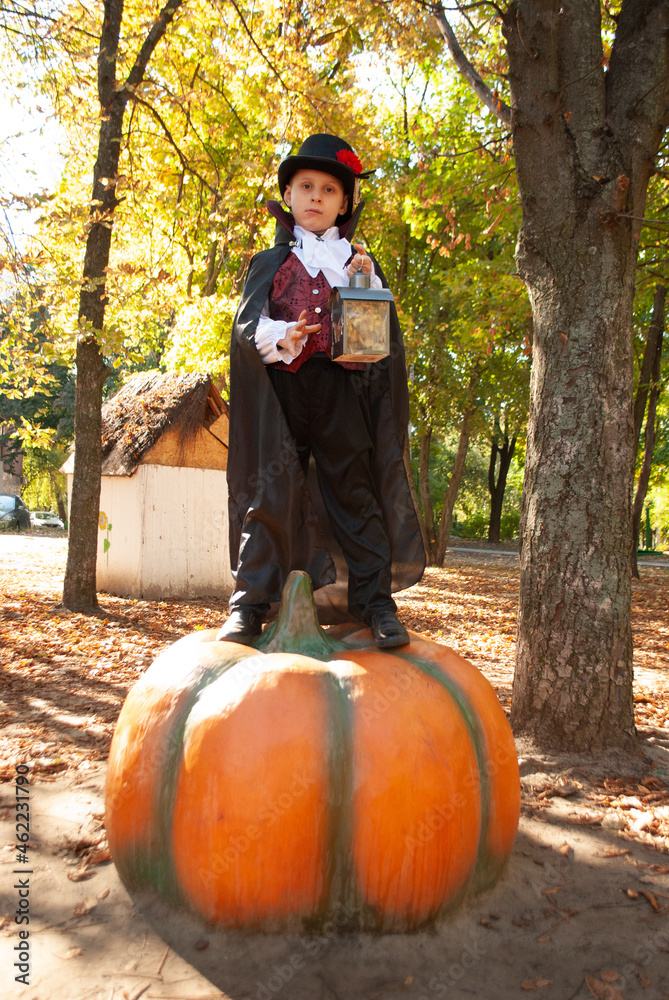 Wall mural little vampire on a pumpkin for Halloween