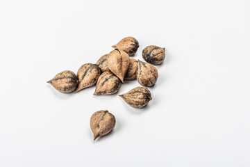 Ripe Juglans cordiformis Maxim or heart-shaped walnut isolated on white background