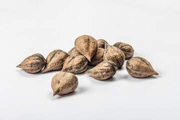 Ripe Juglans cordiformis Maxim or heart-shaped walnut isolated on white background