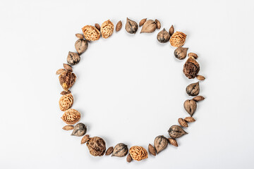 Wreath or Frame from Juglans cordiformis Maxim or heart-shaped walnut isolated on white background