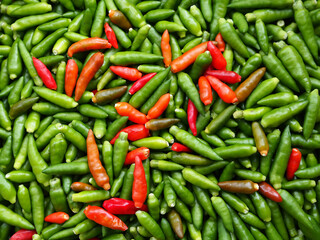 Bird's eye chili ( Capsicum annuum) or Thai chili of assorted colors isolated on wooden table background. Chili peppers are often used for cooking or cut into salads.