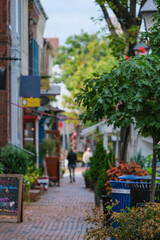 Beautiful picturesque New England style house facades in historic Old Town Alexandria, Virginia with shopping avenue mall King Street and romantic backstreet alley brick  buildings colors Indian Summe