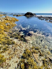 The Pacific coast of California is very diverse. Wild beaches, cliffs and exotic flora and fauna have been preserved here. This is a favorite vacation spot for the population. California (USA).