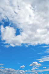 茶色の木目テクスチャ背景