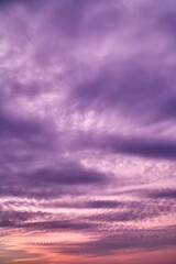 Fototapeta premium 紫色に染まる夕暮れ