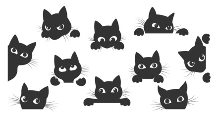 Fototapeta premium Cat spy animal cartoon