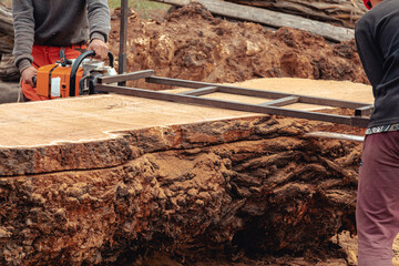 Closeup of lumberjack cutting tree trunk with giant chainsaw to make wooden planks