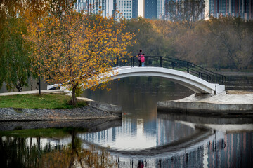 Obraz na płótnie Canvas bridge in the park