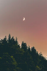 sapin lune col d'aspin