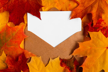 Kraft envelope with a white sheet of paper on bright yellow, orange and red maple leaves top view. Autumn cozy background with letter and copy space.