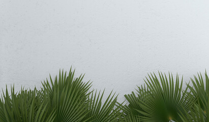 A white wall with green tropical leaves. Textured white background, plaster. Summer, spring background. 3d rendering.