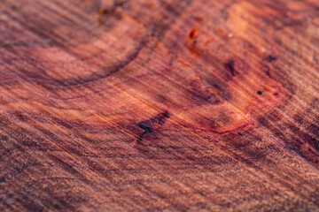 Tree plank texture for background. Cut tree trunk texture. Wood texture
