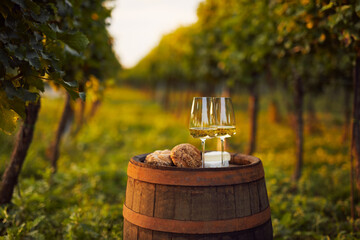 Two glasses of white wine on an old barrel in the vineyard