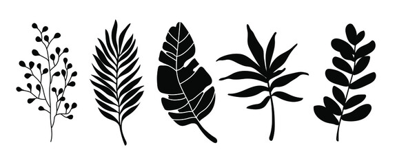 Set of leaves silhouette of beautiful plants, leaves, plant design. Vector illustration 11.