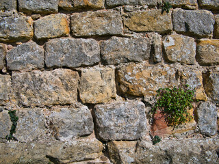 Rows of old stone blocks in an ancient wall. Taken on a sunny day.