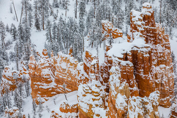 Winter in Bryce Canyon National Park, United States Of America