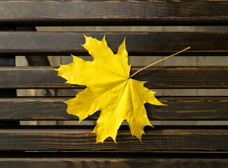 Obraz premium Autumn leaf on a bench, background. Autumn background