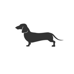 Dachshund dog icon on white background in flat. Vector illustration