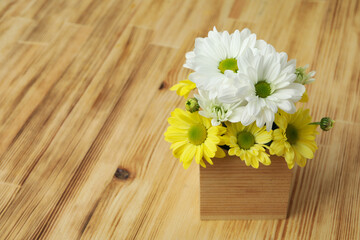 Fototapeta premium Mini box with chrysanthemums on wooden background