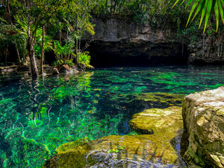 Cenote en QuintanaRoo, Mexico