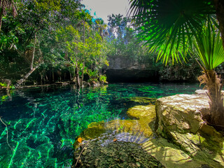 Cenote en QuintanaRoo, Mexico