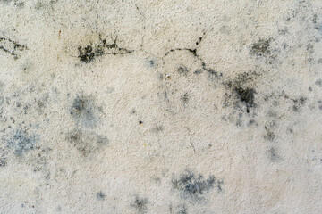 old wall with small cracks and mold growing on them due to moisture accumulation.