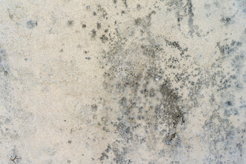 old wall with small cracks and mold growing on them due to moisture accumulation.