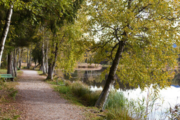 am Bayersoiener See bei Murnau